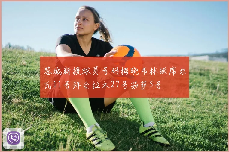 蓉城新援球员号码揭晓韦林顿席尔瓦11号拜合拉木27号茹萨5号